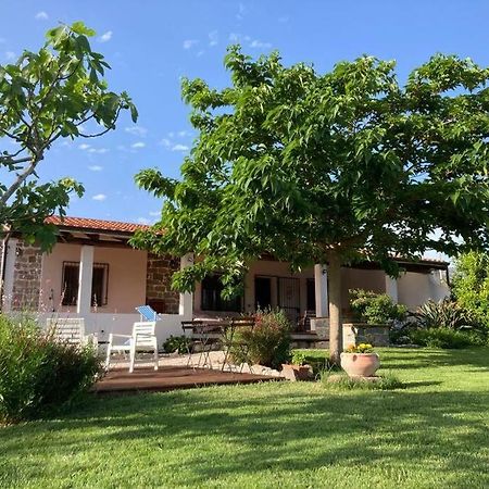 Countryside Villa In Sardinia Triei Eksteriør bilde