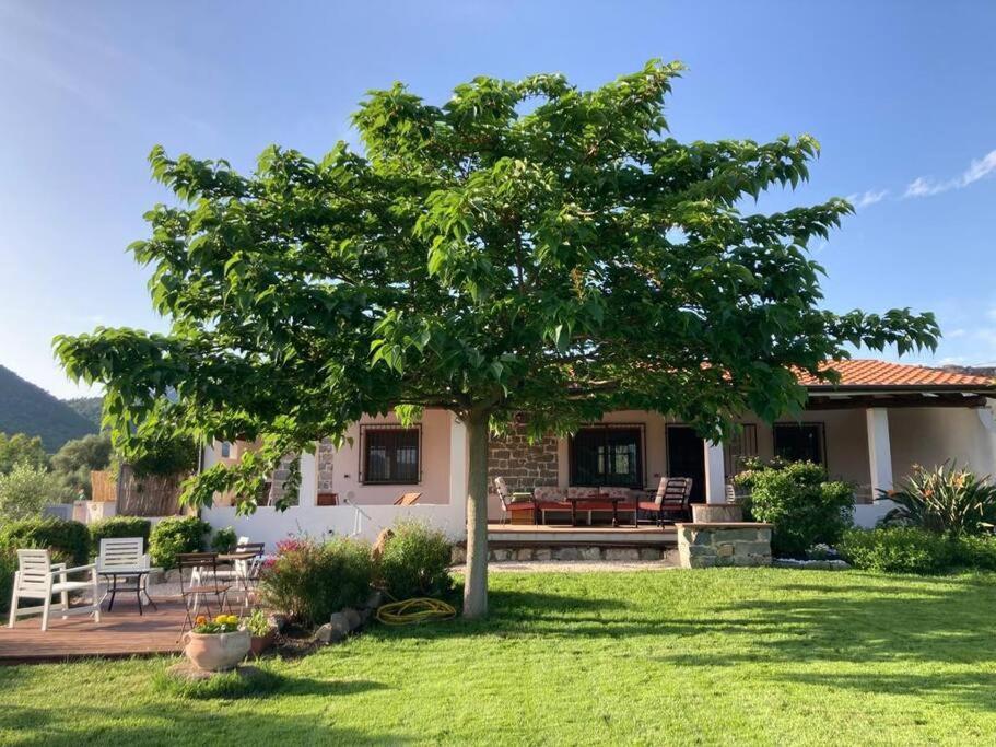 Countryside Villa In Sardinia Triei Eksteriør bilde