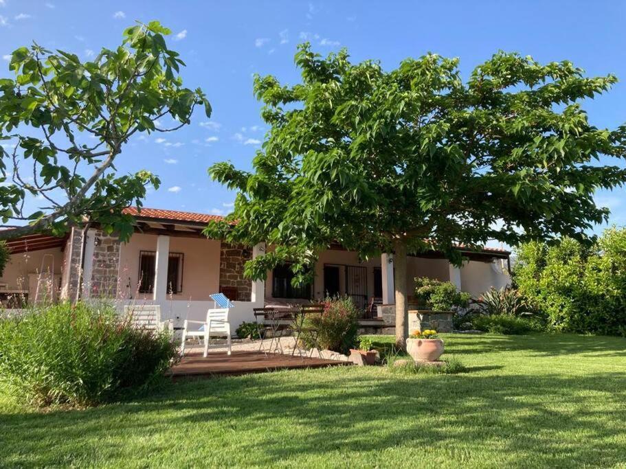 Countryside Villa In Sardinia Triei Eksteriør bilde
